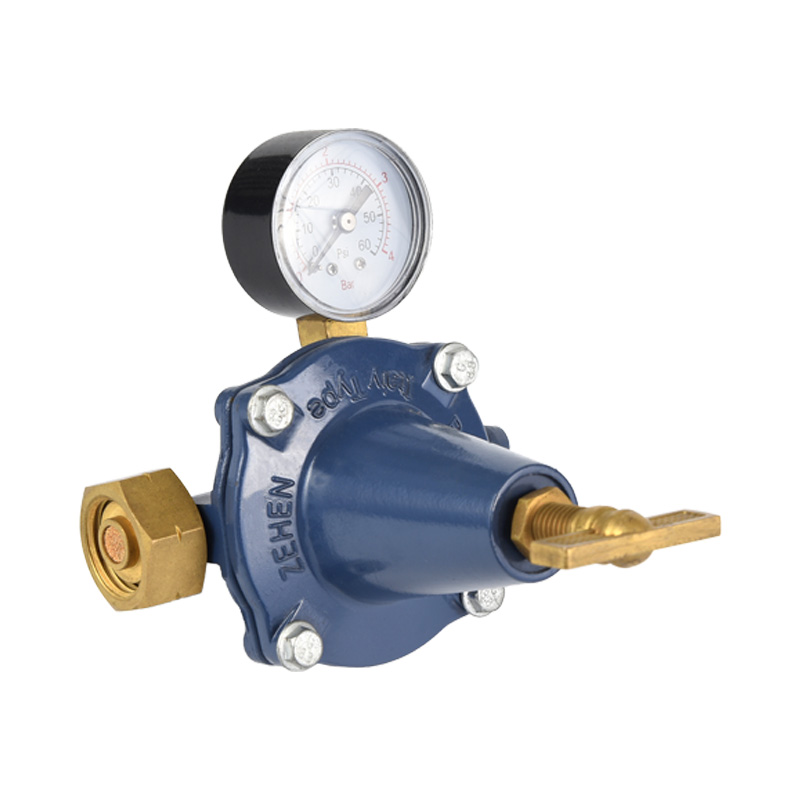 Cadmiae Corpus Propane Regulator Varius Standard Exemplar in Inlet Connection