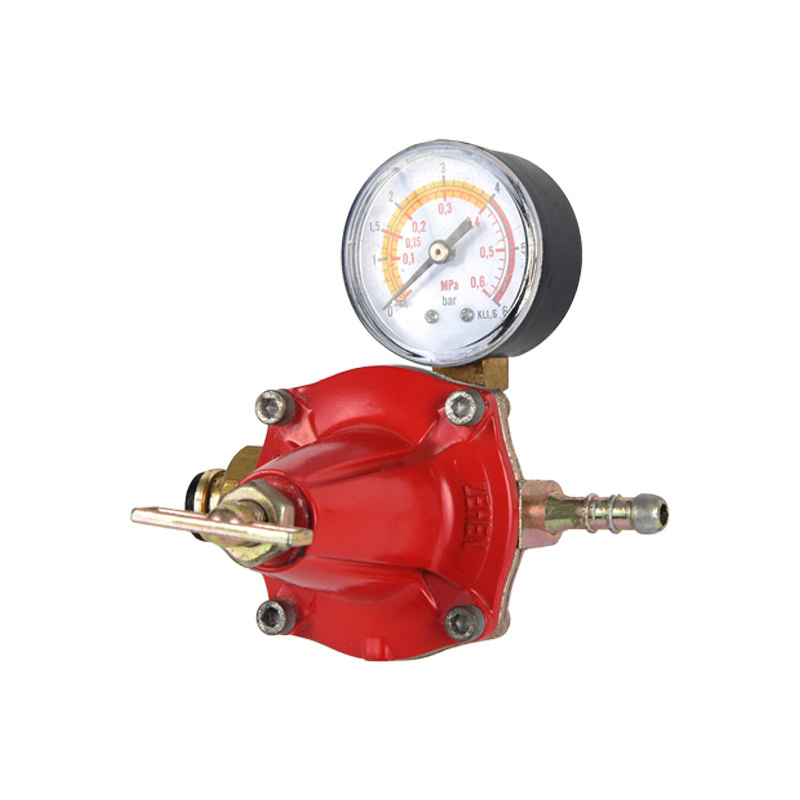 Cadmiae Corpus Propane Regulator Varius Standard Exemplar in Inlet Connection