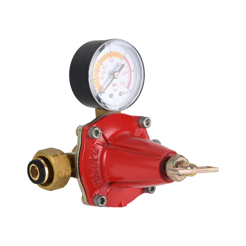 Cadmiae Corpus Propane Regulator Varius Standard Exemplar in Inlet Connection