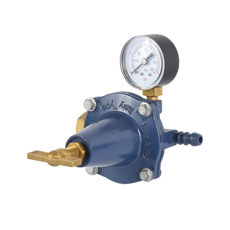 Cadmiae Corpus Propane Regulator Varius Standard Exemplar in Inlet Connection